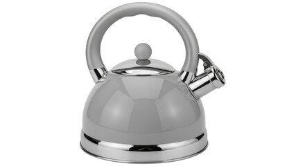 Isolated Kettle Metallic Shiny Kitchen
