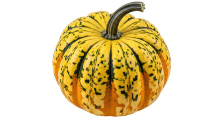 Isolated Carnival Squash, Colorful Pumpkin