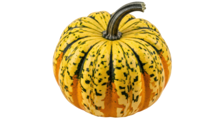 Isolated Carnival Squash, Colorful Pumpkin