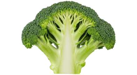 Isolated Broccoli