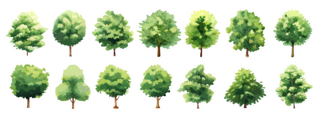 Watercolor Tree Set in Front View with Lush Green Foliage for Landscape Design and Garden Planning.