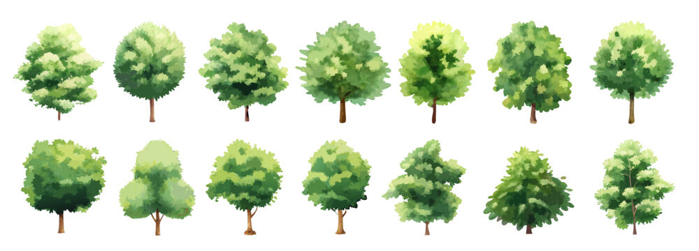 Watercolor Tree Set in Front View with Lush Green Foliage for Landscape Design and Garden Planning.