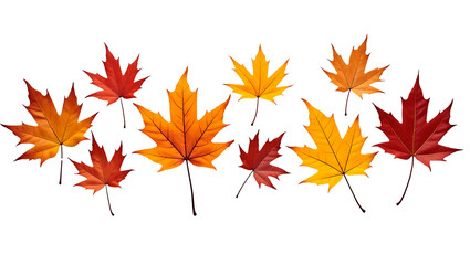 Vibrant Autumn Maple Leaves:  Falling, Red, Orange, and Gold, Isolated on Black Background.