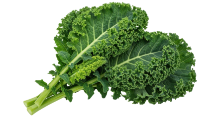 Isolated Kale