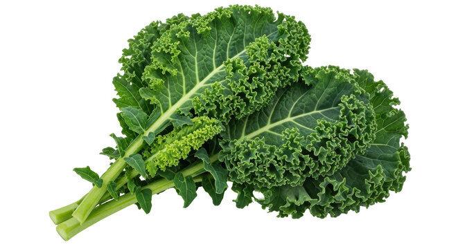 Isolated Kale