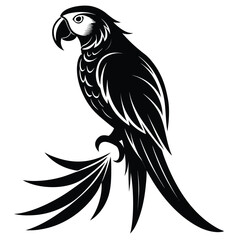 Obraz premium Pure black design of a perched macaw with long tail feathers, curved beak, and tropical parrot profile, isolated on white background.