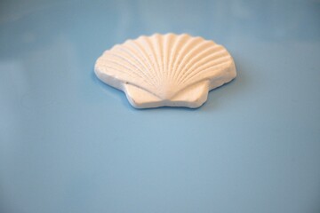 Shell shape ceramics with blue background and copy space.