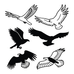 Collection of Eagle Silhouettes and Outlines in Flight on a White Background
