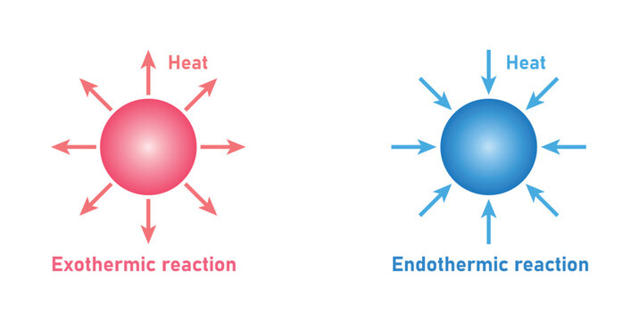Exothermic and Endothermic Reaction in Chemistry.