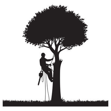 Silhouette of a skilled arborist climbing a large tree using ropes and safety gear equipped with a chainsaw performing tree maintenance or removal on a clear white background with grass at the base