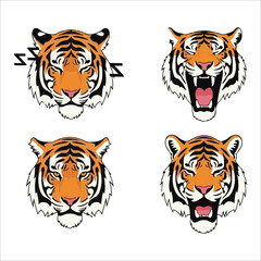 Tiger faces roaring and calm animal wildlife