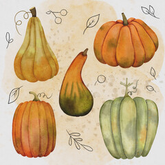 Decorative watercolor pumpkin illustration &ndash; autumn still life with hand-painted pumpkins, soft background and line art details for seasonal prints and cozy fall design