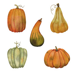 Watercolor pumpkin clipart set &ndash; hand-painted decorative autumn harvest elements for seasonal design, packaging, and fall decor