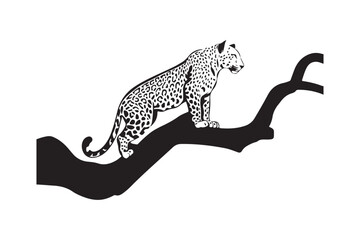 Elegant black and white leopard perched on a branch