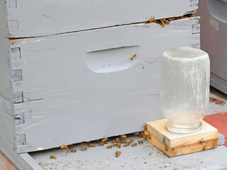 Honey Super -  A sugar water jar draws bees to this stack of Bee Supers