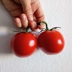 tomatoes in hand
