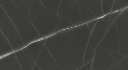 Close-up of a dark gray surface with white, natural-looking veining patterns resembling marble or stone.