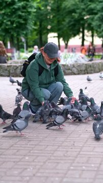 Woman feeding pigeons in the park near the fountain. A moment of unity with nature. Video 4k
