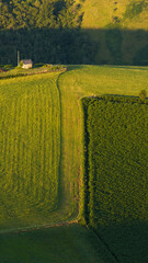 Colline verte