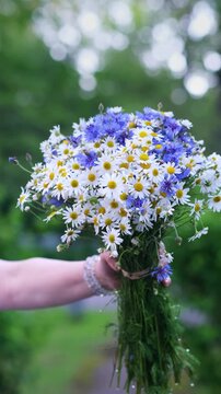 A woman&rsquo;s hand gently holding a bouquet of daisies and cornflowers in front of a green bokeh background. Flowers sway in the breeze. 4K romantic natural footage.