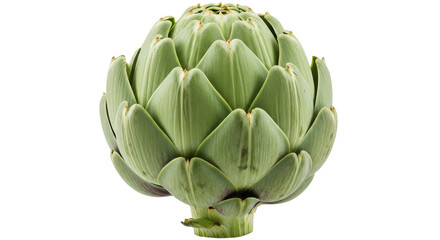 Isolated Artichoke
