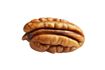Tasty pecan isolated on transparent background with clear detailing suitable for food photography and digital use
