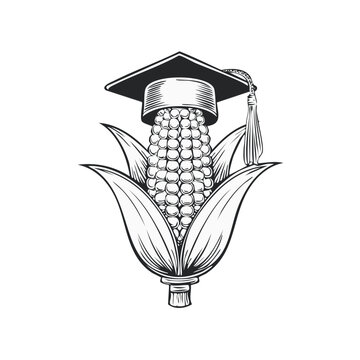 Illustration of a corn wearing a graduation cap. Symbolizes agricultural education, farming, or academic achievement in agriculture