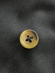 A button on a jacket