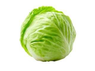 Fresh green butterhead lettuce isolated on black background, Isolated On Transparent Background, Png