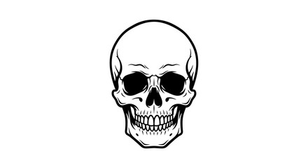 Fototapeta premium Vector skull drawing vector illustration, human skull anatomy, halloween skull outline for graphic design art