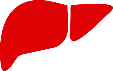 Red simple  of human liver. Vector illustration