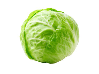 Fototapeta premium Fresh green cabbage isolated on black background healthy vegetable, Isolated On Transparent Background, Png