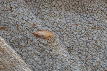 Rock formations at Theodore Roosevelt National Park, North Dakota, USA
