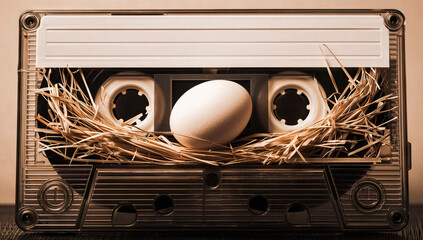 Egg in Straw-Filled Audio Cassette