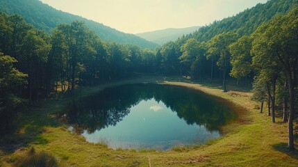 Fototapeta premium High-angle view of a tranquil mountain lake nestled in a lush forest