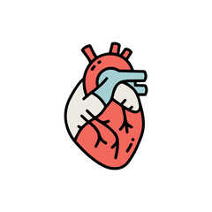 Stylized Anatomical Heart Illustration with Detailed Veins and Arteries.