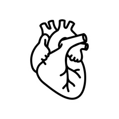 Bold Line Art Illustration of a Human Heart Anatomy.