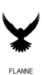 Bird silhouette in flight