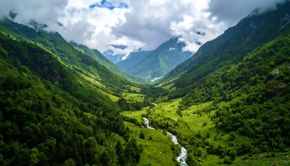 Obraz premium Lush valley nestled between towering mountains