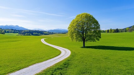 Serene winding path through lush meadow landscape in Upper Bavaria