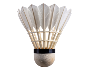  Close-Up Front View of Shuttlecock with Detailed Feathers and Cork Base, Isolated PNG