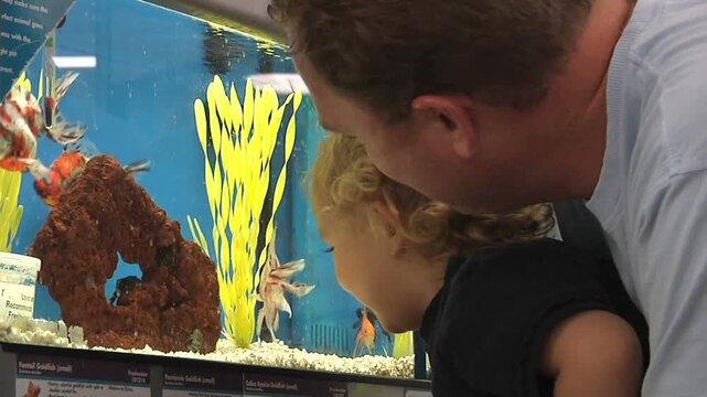 Little boy looking at fish in pet store 