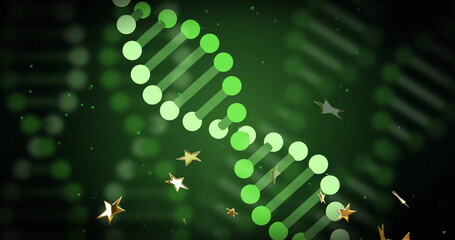 Displaying stylized green DNA helix floating in abstract digital environment, with gold stars