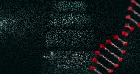 Displaying glowing red DNA double helix rotating in abstract background, bright nodes, copy space