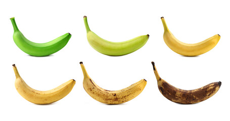 Banana fruits on white background, collage. Different stages of ripeness