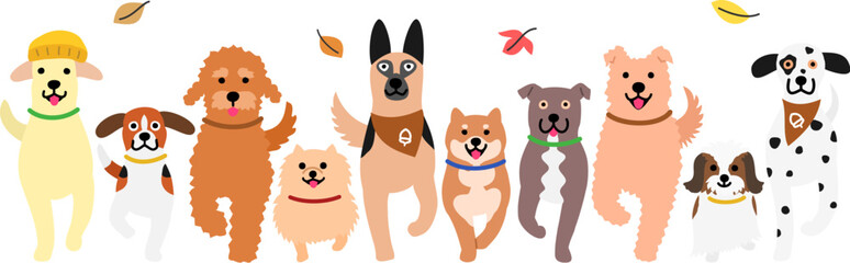 walking dogs in a row