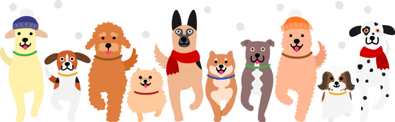 walking dogs in a row
