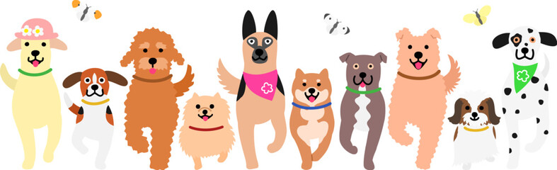 walking dogs in a row