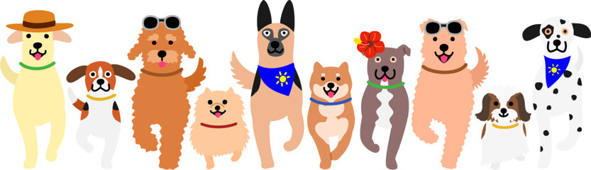 walking dogs in a row