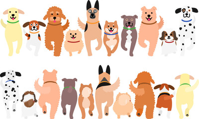 walking dogs in a row, front and back